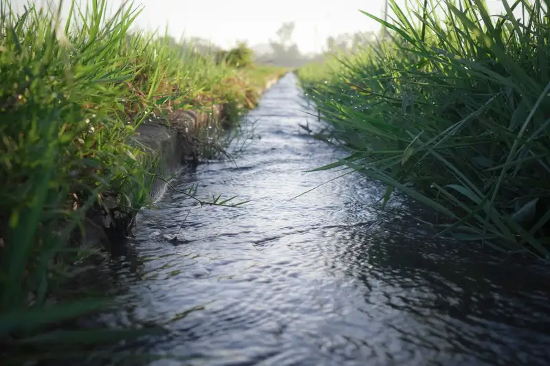 A calm water stream running through lush green grass on a sunny day, showcasing nature's tranquility.