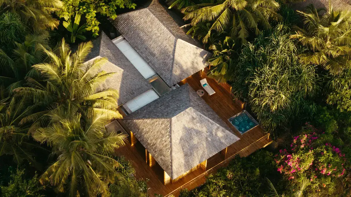 Explore a luxurious eco-resort nestled in the lush forests of Tanzania.